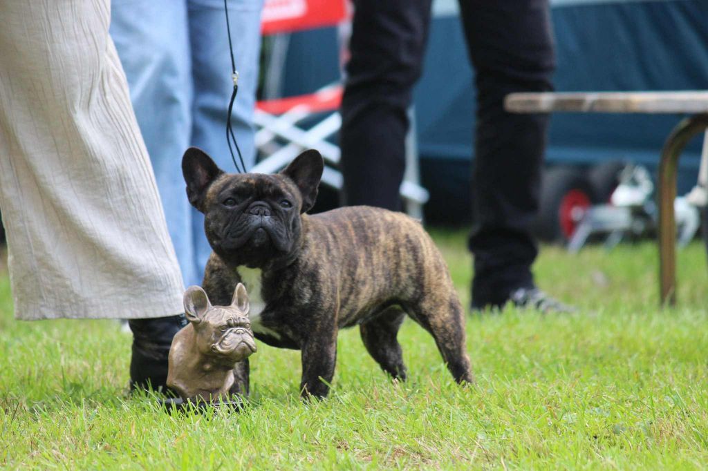 De La Longère Du Geai Normand Vesta la déesse