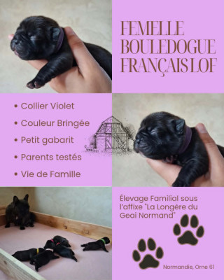 Bébé Violet